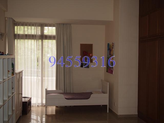 The Balmoral (D10), Condominium #155475802
